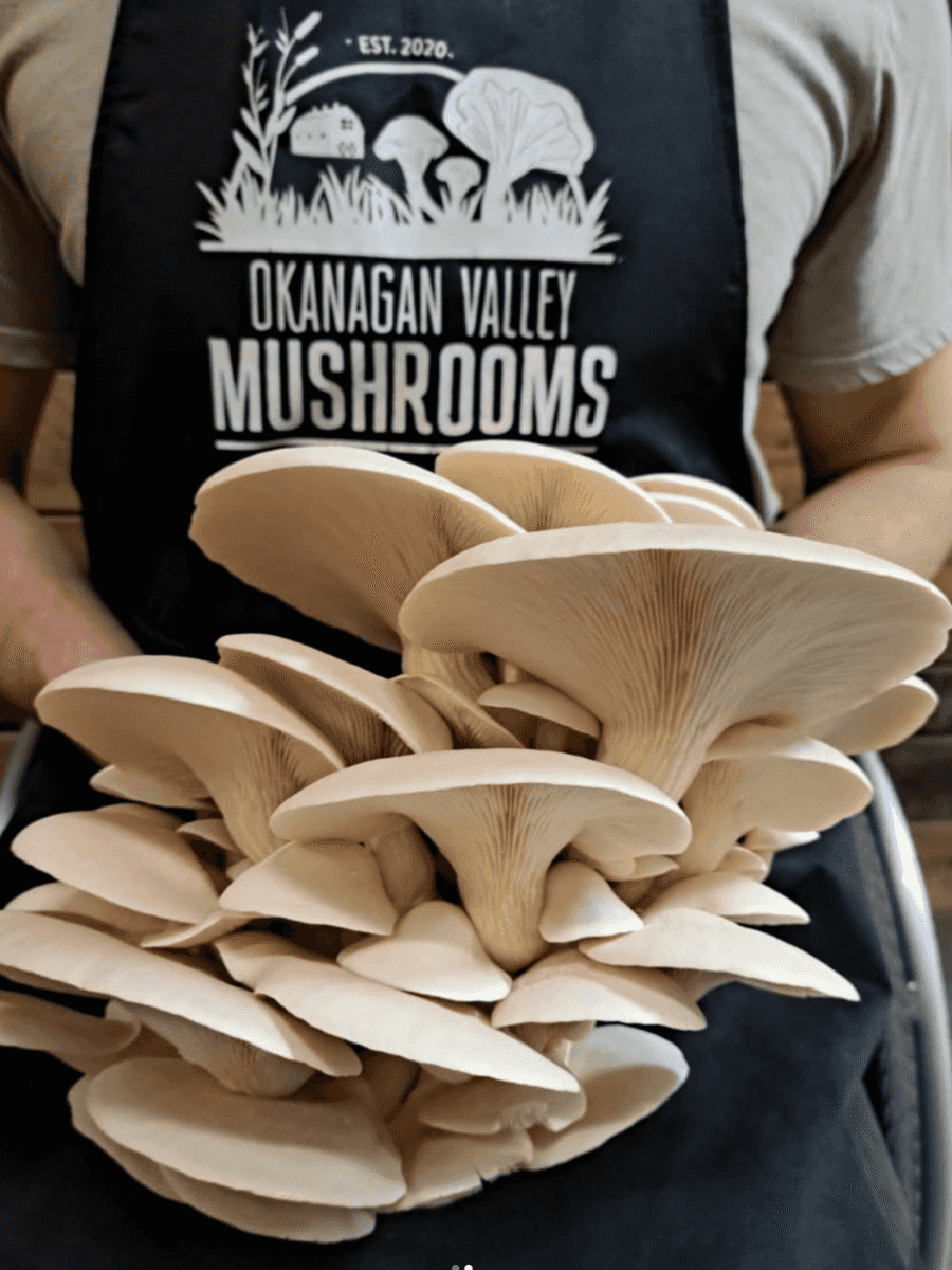Founder in the farm apron holding a pearl oyster cluster
